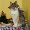 Отзыв от Прасковья Никольская